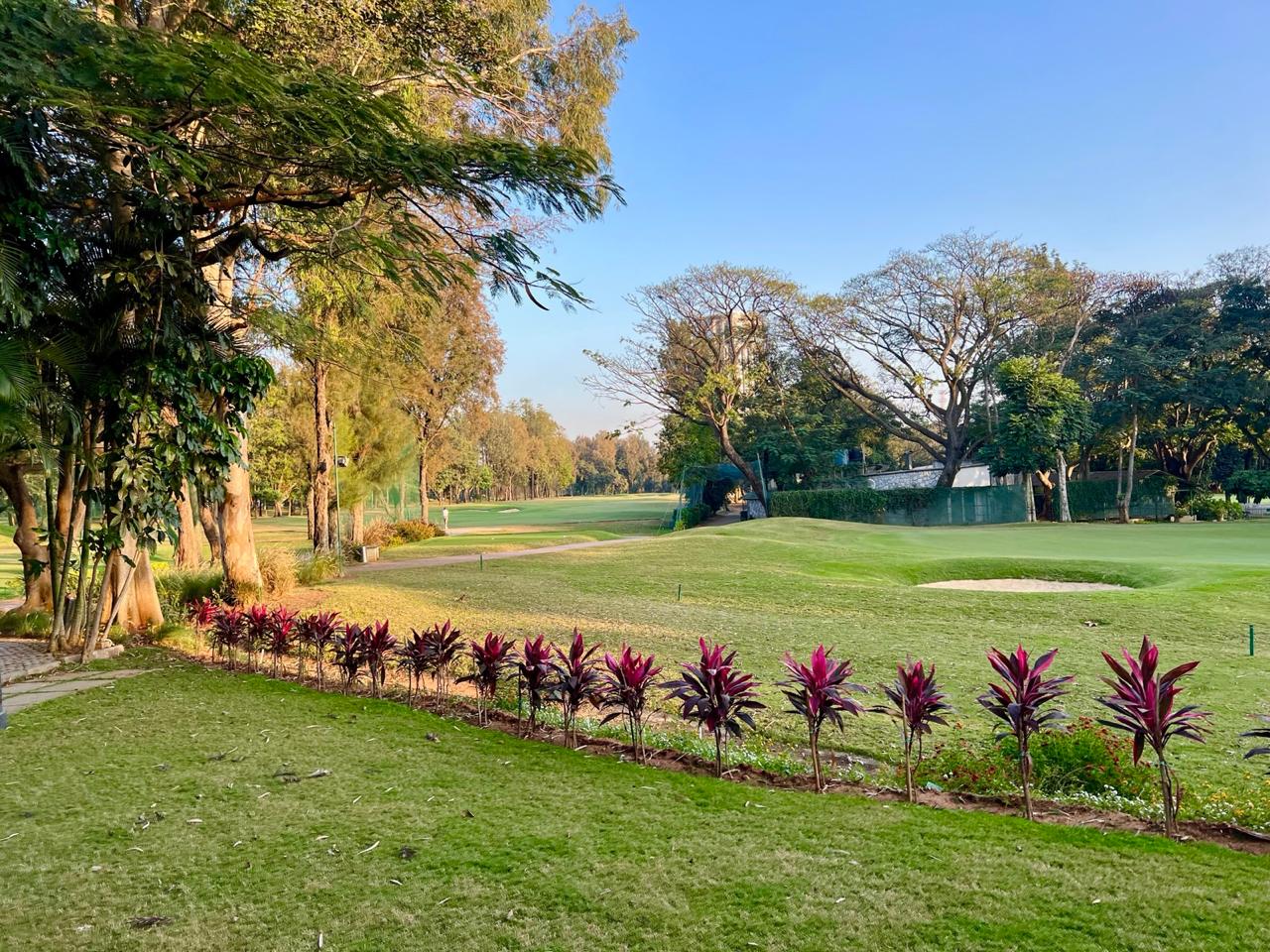 WhatsApp Image 2025-10-24 at 1.53.48 PM (3)